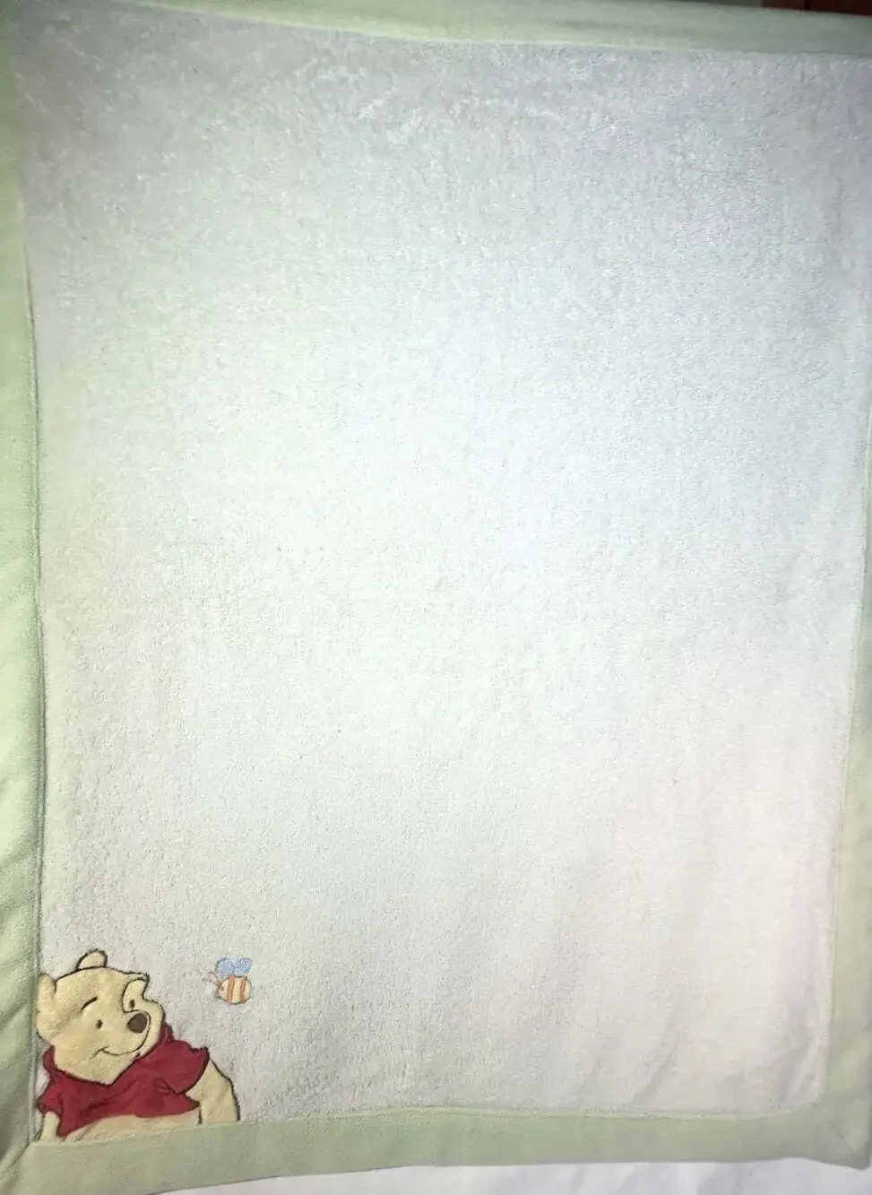 Winnie The Pooh and Bee Blanket cream with green edge 30x40”in READ